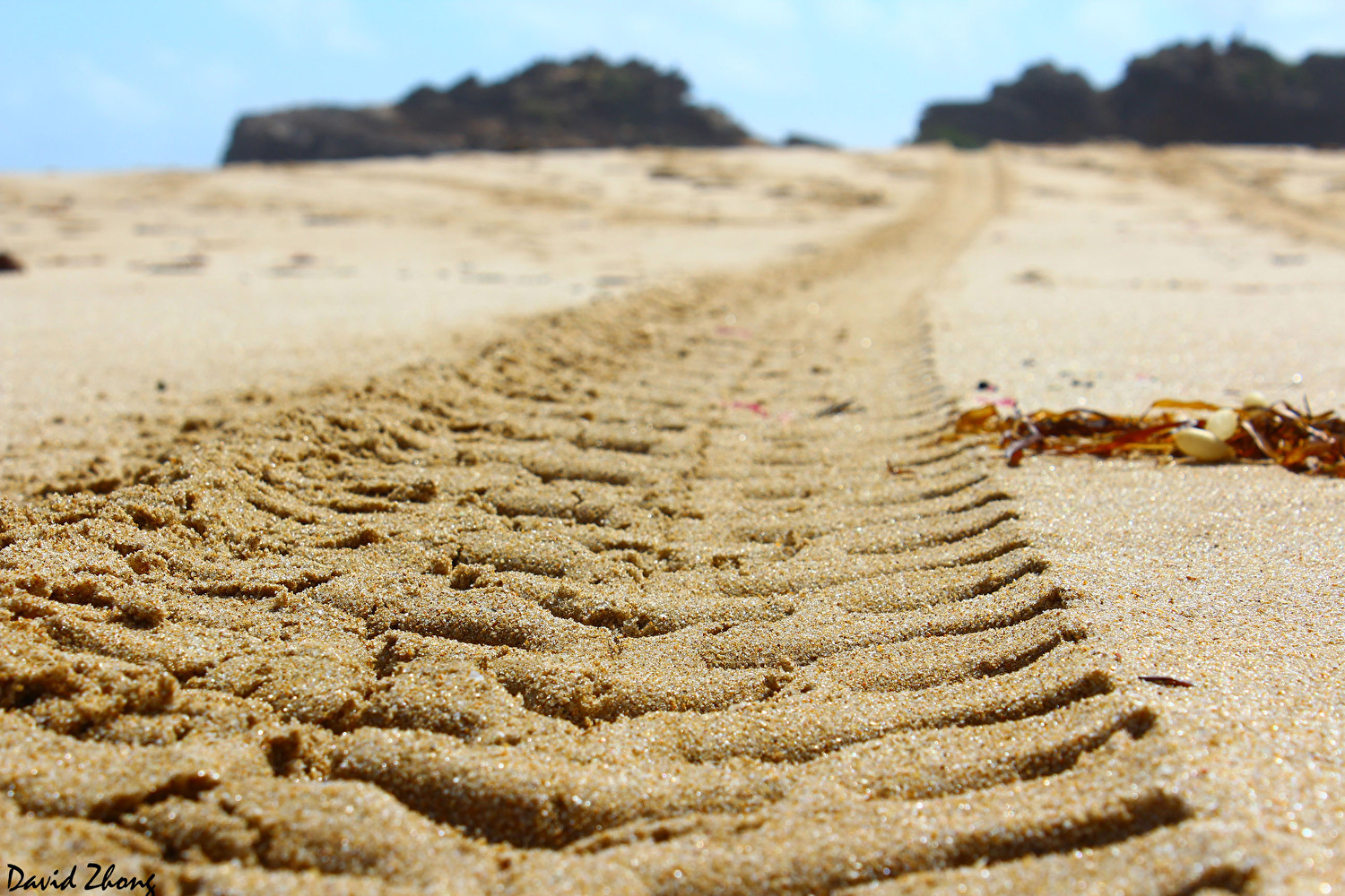 Tire Track