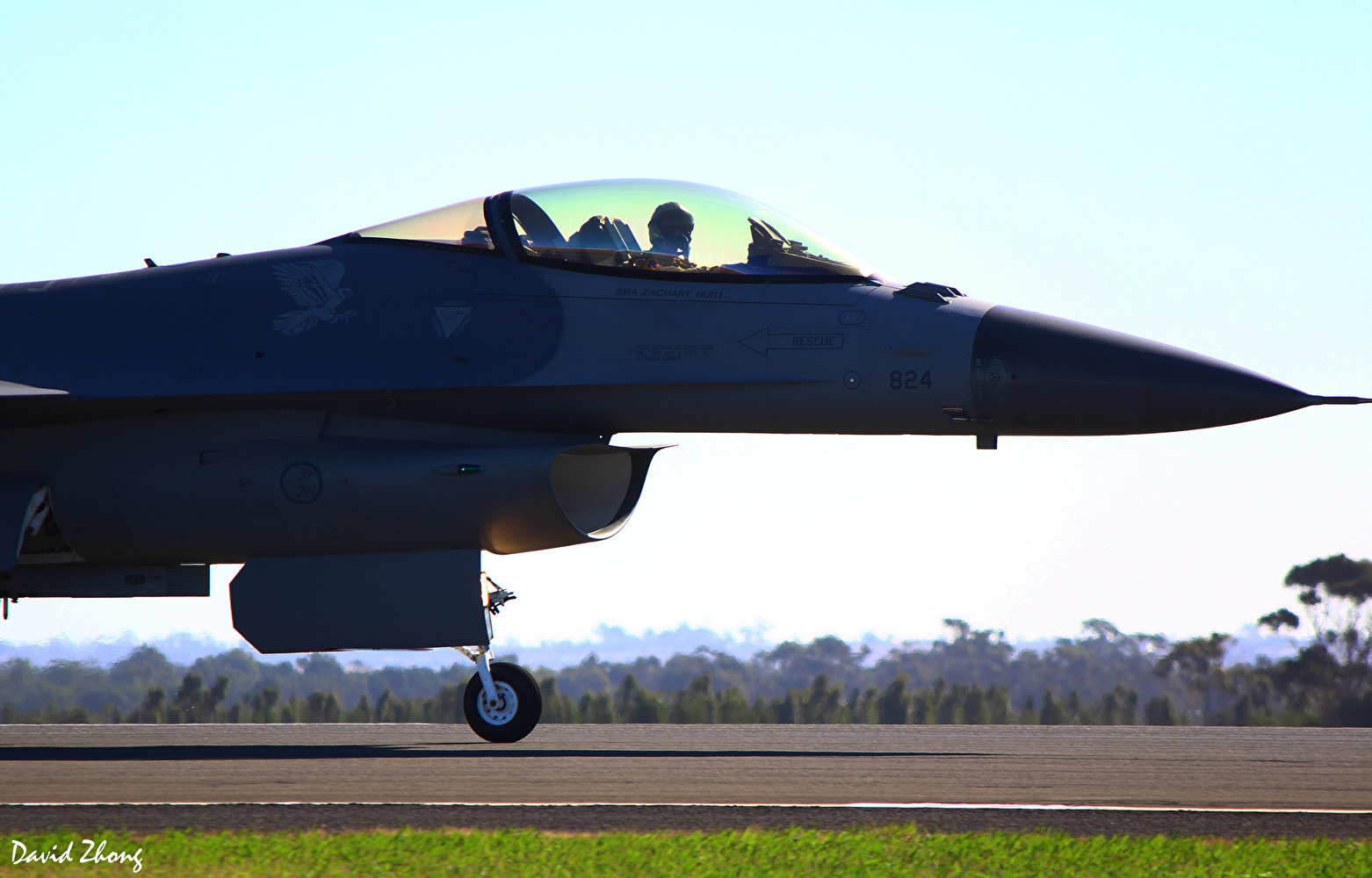 Falcon Taxies