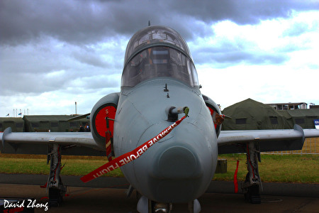 The Hawk